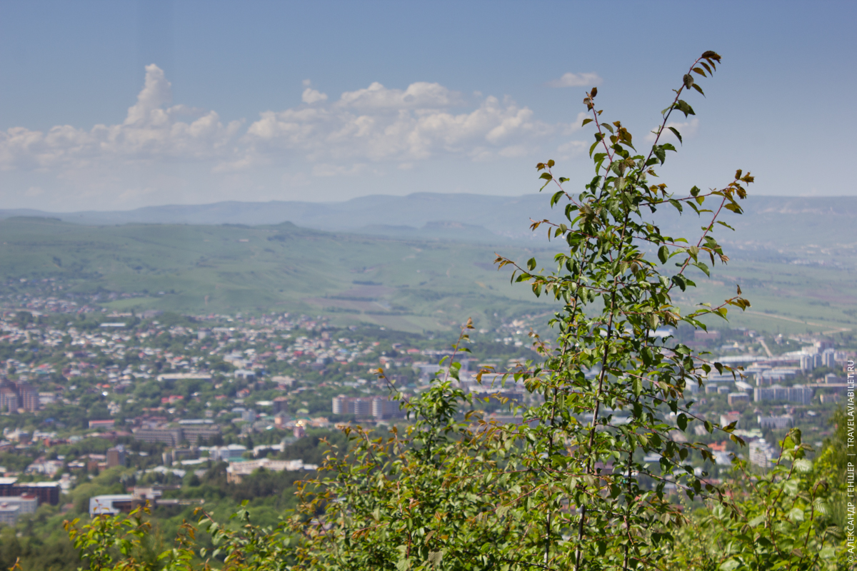Терренкуры в Кисловодске. Фото: Александр Геншер | Travelaviabilet.ru Терренкуры в Кисловодске. Фото: Александр Геншер | Travelaviabilet.ru