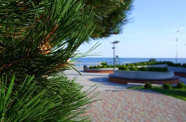 Отдых у Балтийского моря в Зеленоградске. Фото: Александр Геншер | TRAVELAVIABILET.RU