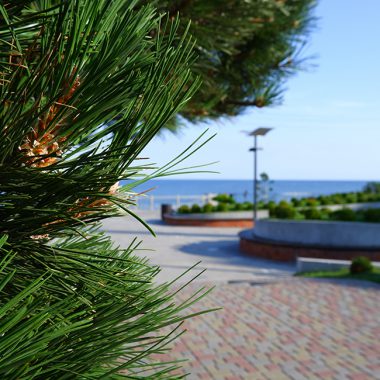 Отдых у Балтийского моря в Зеленоградске. Фото: Александр Геншер | TRAVELAVIABILET.RU