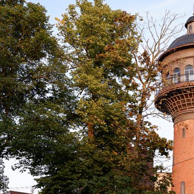 Прогулка по Зеленоградску. Фото: Александр Геншер | TRAVELAVIABILET.RU