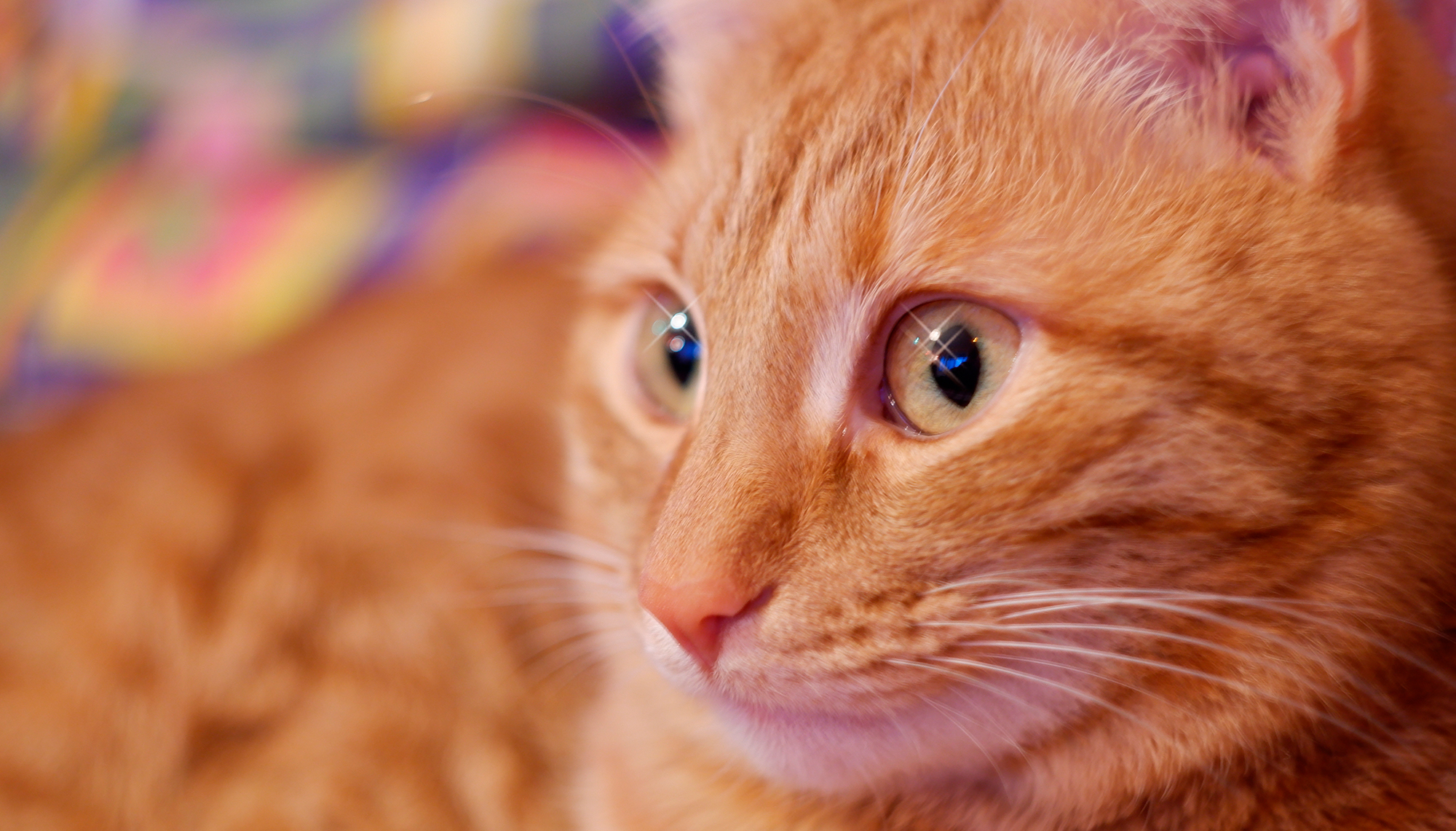 Черная Пятница 2020 - скидки на авиабилеты, отели и туры