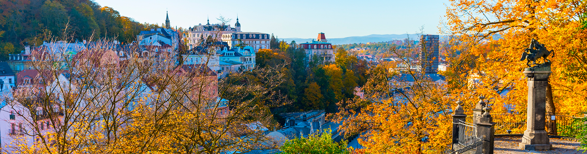 Авиабилеты из Карловы-Вары