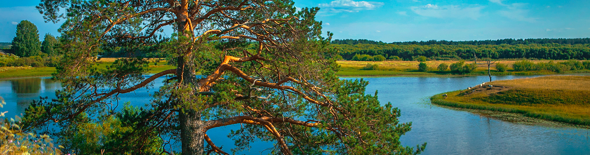 Авиабилеты из Ухты