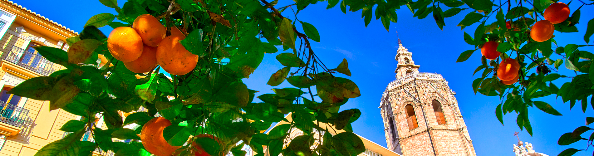 Авиабилеты из Валенсии